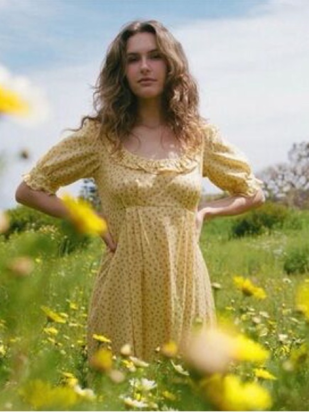 Christy Dawn Meadow Dress